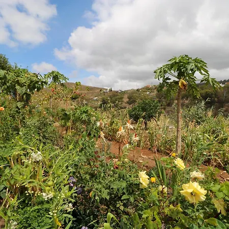 Countryside Views House *